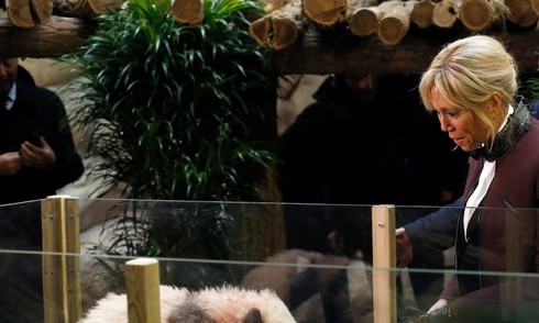French first lady visits 'godchild' panda in China