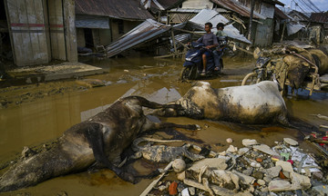 Over 900 dead due to floods on Indonesian island