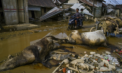 Over 900 dead due to floods on Indonesian island