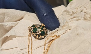 waiting 6 days to retrieve 'golden egg' swallowed by thief