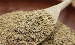 Benefits of chewing fennel seeds after meals