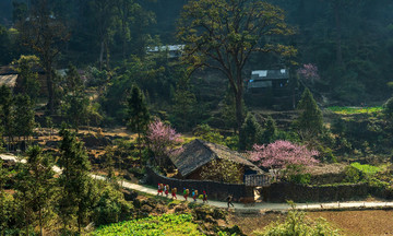 Dong Van Karst Plateau honored as 'World's Leading Cultural Destination 2025'