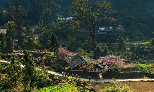 Dong Van Karst Plateau honored as 'World's Leading Cultural Destination 2025'