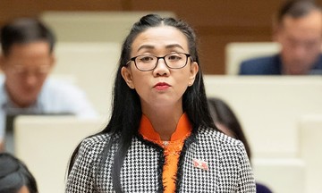 National Assembly delegate: caution needed in developing small-scale nuclear power