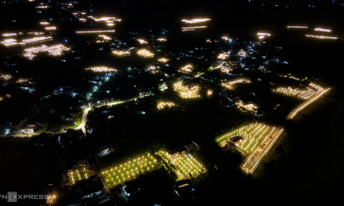 27,000 lights illuminate flower fields to 'force' Tet blooms