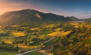 The ripe rice season in Ta Pa valley