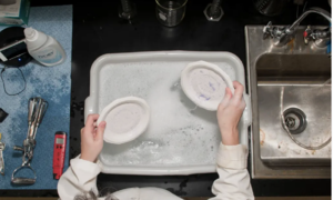 Why you should not wash dishes immediately after a meal