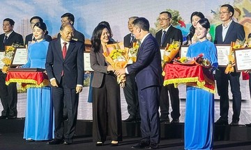 Maca Dai Viet pursues a sustainable macadamia production model