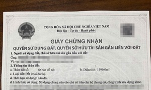 Nearly 70 million land parcels assigned identification codes, to be integrated into VNeID