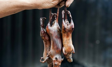 Canh Nau, a village near Hanoi, famous for selling rat meat