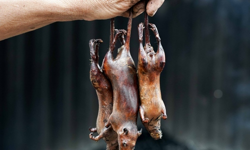 Canh Nau, a village near Hanoi, famous for selling rat meat