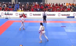 Hong Ngoc and Ngoc Bich's 362-point performance