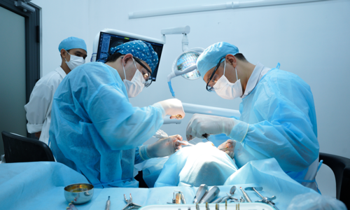 Parkview launches comprehensive dental services for overseas Vietnamese