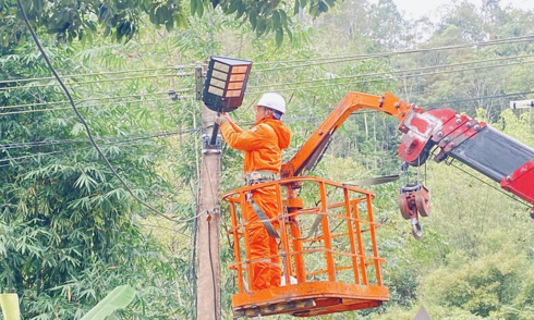 EVNNPC successfully implements a series of activities in November