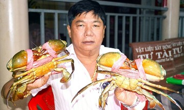Ca Mau to develop 50,000-hectare sea crab farming zone for export