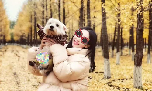 China jails dog poisoner for the first time