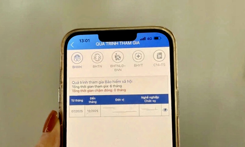 Concern over missing social insurance contribution time on VssID