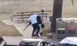 Moment a civilian disarms shooter in Australia