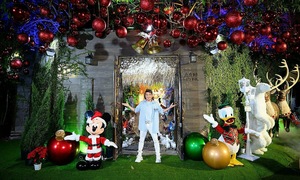 Dam Vinh Hung sells 500 m2 villa