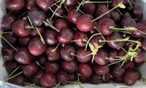 Five red fruits for a healthy heart