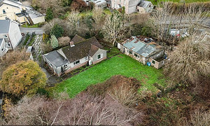 Japanese knotweed crisis freezes property market in Welsh town