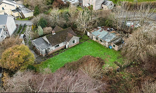 Japanese knotweed crisis freezes property market in Welsh town