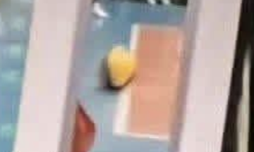 In or out: Vietnam misses women's volleyball gold at SEA Games 33 amid controversy