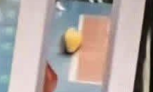 In or out: Vietnam misses women's volleyball gold at SEA Games 33 amid controversy