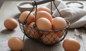5 choline-rich foods good for the brain