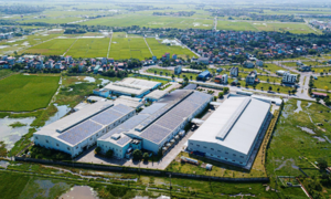 Elmich releases 2025 sustainability development report