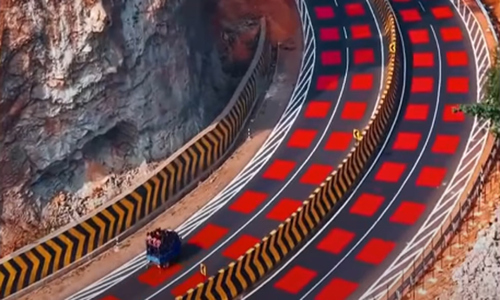 Red checkered road through wildlife sanctuary