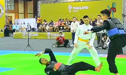 Van Kien disqualified after striking opponent's face