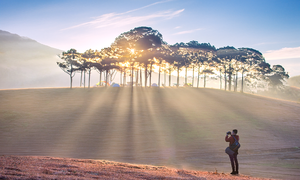 Camping and catching the sunrise on Da Lat's pink grass hill
