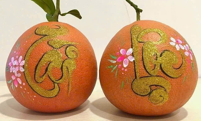 Organic "king's tribute" red pomelo fetches 2 million dong per fruit for Tet