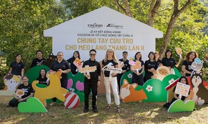 Cocoon's sustainable strategy for vegan cosmetics