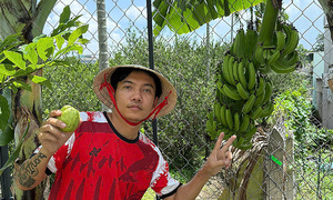 Pham Truong's 40 m2 urban garden