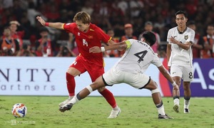 Indonesia advised to emulate Vietnam's football approach