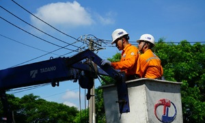 EVNHCMC inspects, ensures power safety during the Tet holiday