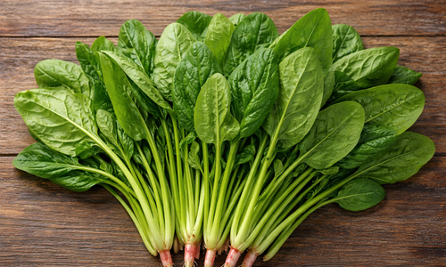 The benefits of regularly eating spinach