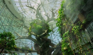 The first tropical rainforest located in the middle of the desert in Dubai