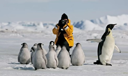 Overcoming fierce waves on a first expedition to Antarctica