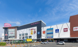 What's new in Aeon Mall's business model?