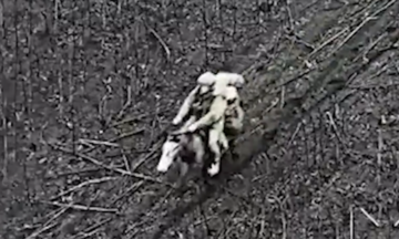 Ukraine drone attacks Russian soldiers on horseback