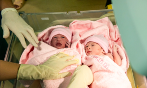 Why highland regions have high birth rates while cities have low birth rates?