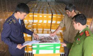 Police intercept truck carrying 10 tons of Chinese lizardfish preserved with formaldehyde