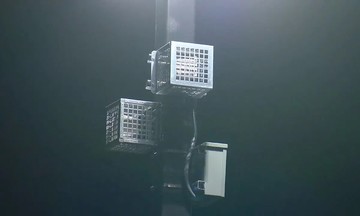 US supermarket accused of installing 'immigrant repellent' speakers