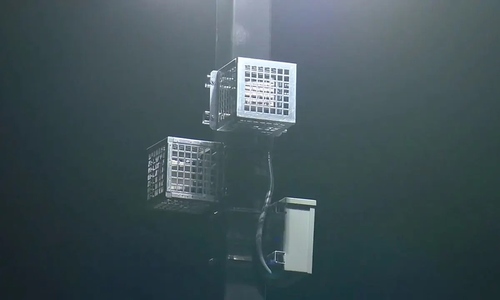 US supermarket accused of installing 'immigrant repellent' speakers