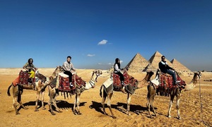 Reasons why private tours suit Vietnamese families during Tet