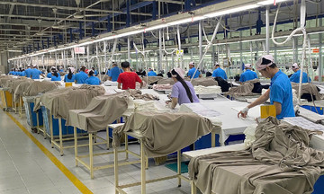Factory with over 2,600 workers in Binh Duong ceases operations