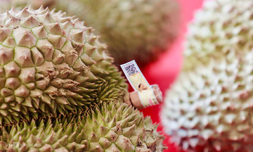 Vietnam launches agricultural product traceability system